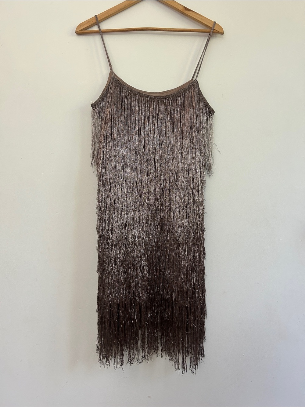 NWT Rachel Zoe metallic fringe dress